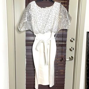 First Lady Type Dress